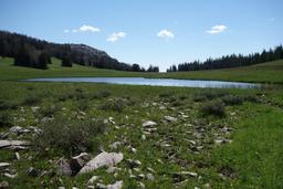 The pond that is the source of the north fork of box canyon creek [sun jul 4 11:00:53 mdt 2021]